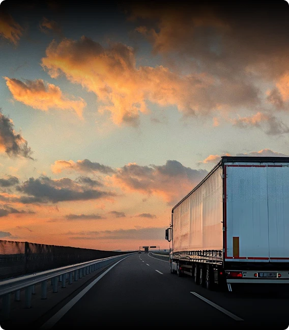 Geocoding & Route Optimisation